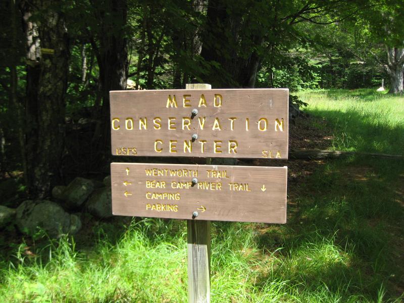 Israel (3).JPG - We met up with the Wentworth trail and followed it to the summit. Brian's back was hurting so he didn't join us on the hike.